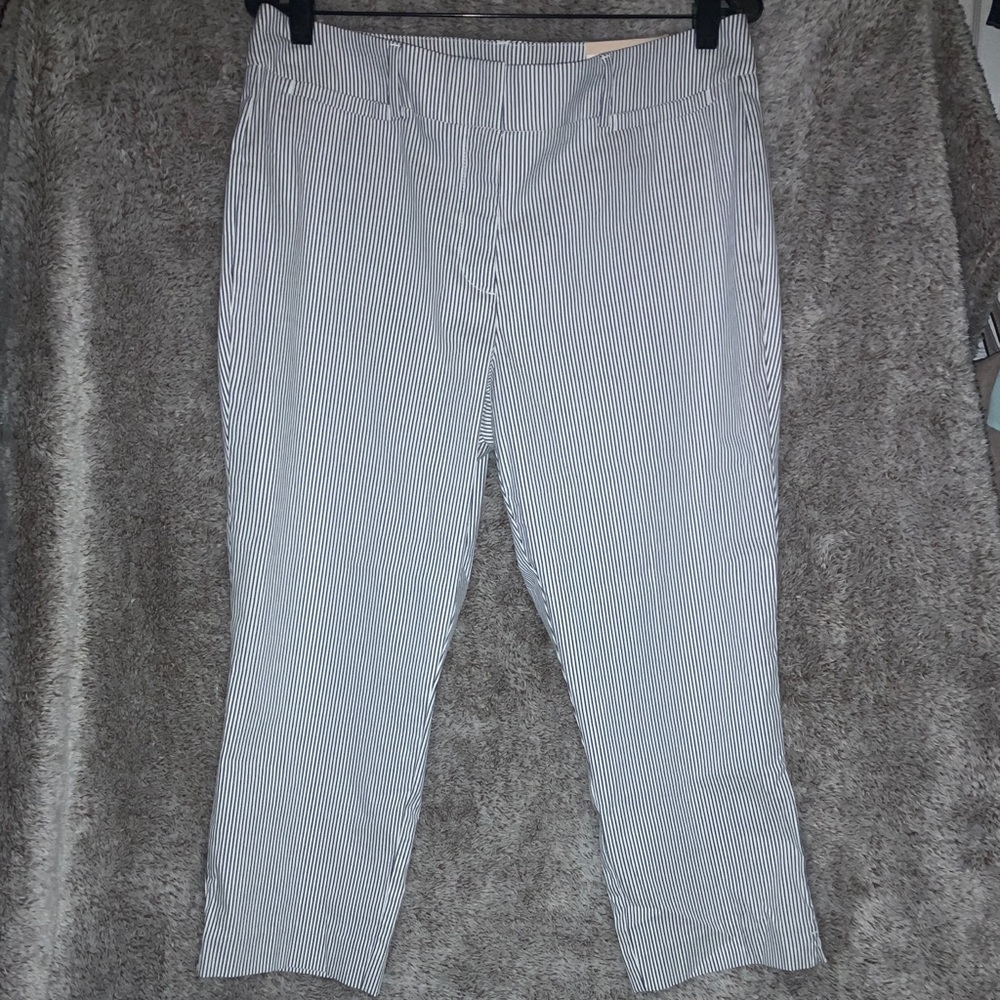 Crop Pants Ann Taylor Factory